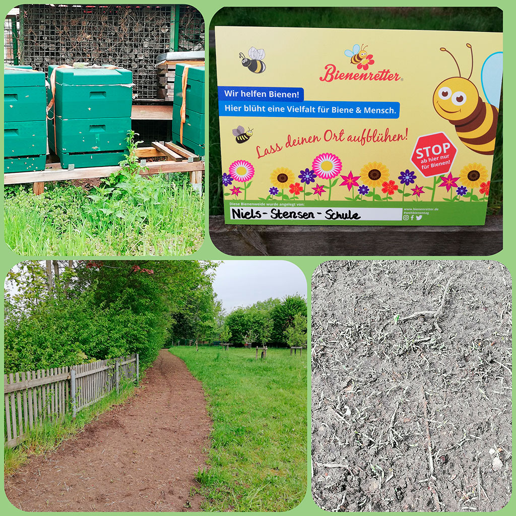 Bienenretter